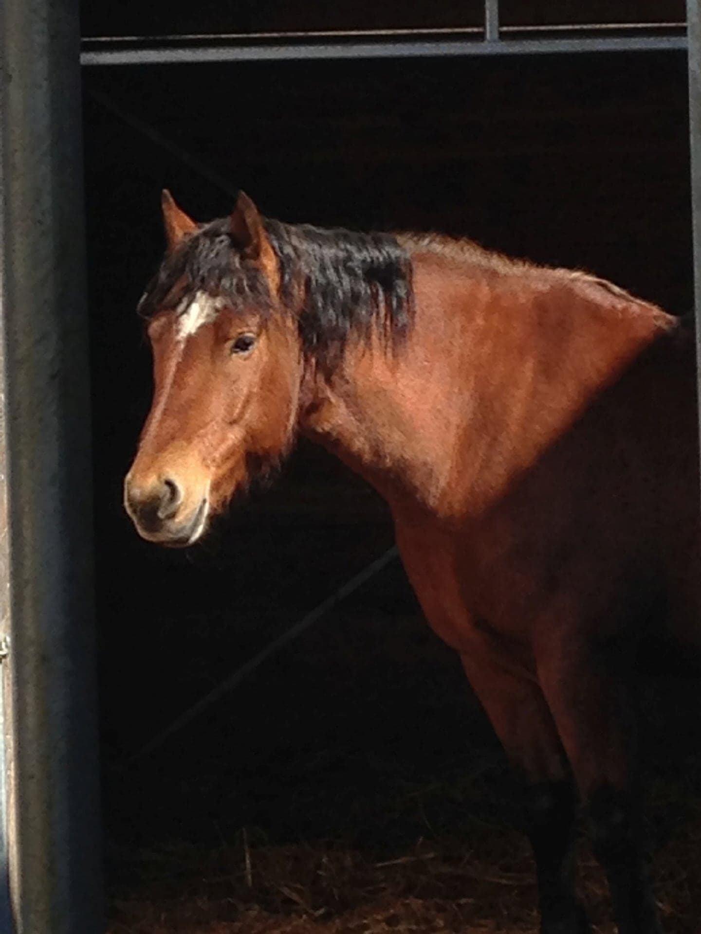 Galloway Galeriebild 001